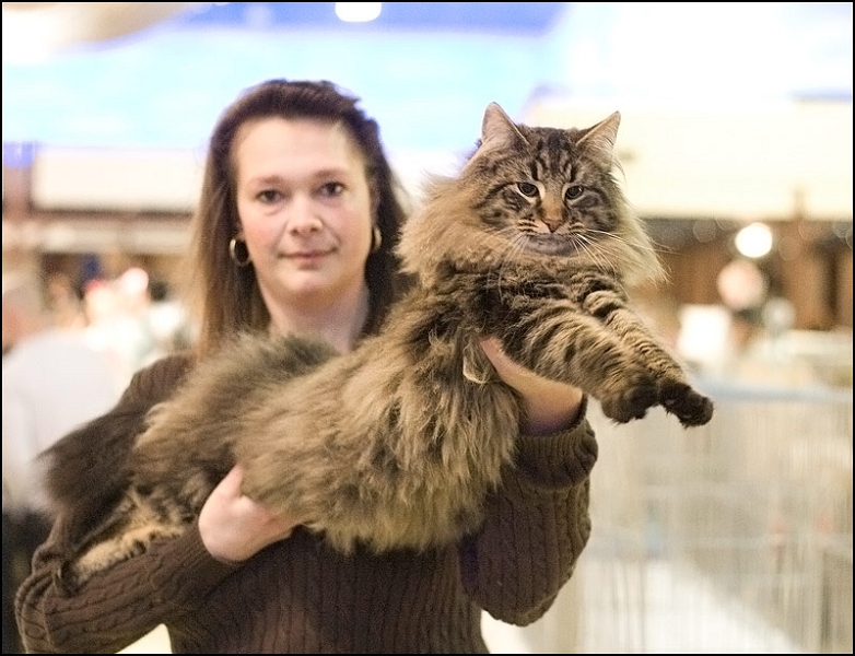 Cassis du Domaine d'Asgard 1.jpg - Cassis du Domaine d'Asgard